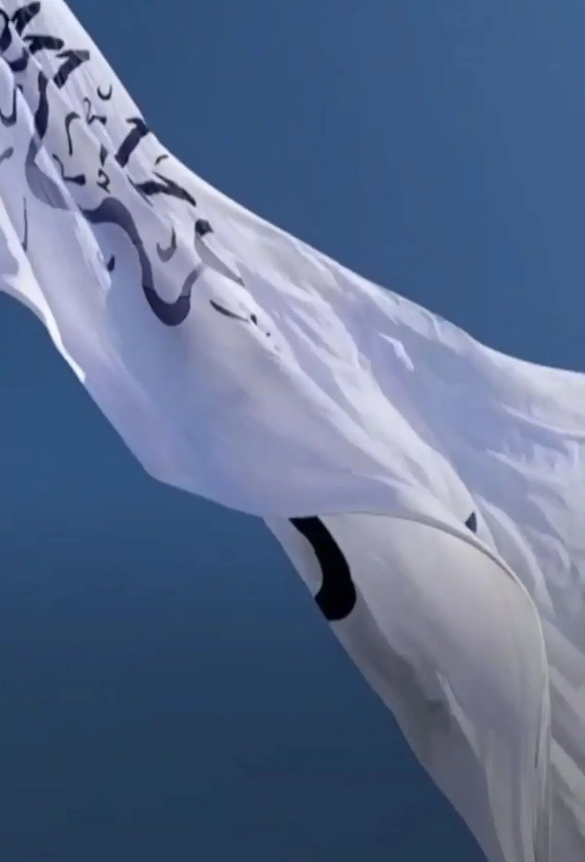 طالبان پرچم خود را به عنوان پرچم افغانستان به اهتزاز درآورد+ویدئو 