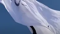 طالبان پرچم خود را به عنوان پرچم افغانستان به اهتزاز درآورد+ویدئو 