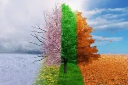 شخصیت شناسی جالب براساس فصل مورد علاقه