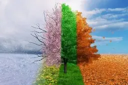 شخصیت شناسی جالب براساس فصل مورد علاقه