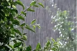 آغاز بارش‌های گسترده از چهارشنبه + ویدئو