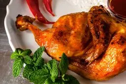 جوجه کباب زرشکی بلدی درست کنی؟ | طرز تهیه جوجه کباب زرشکی +ویدئو