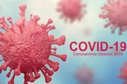 میانگین سنی مبتلایان و فوت شدگان کرونا در کشور