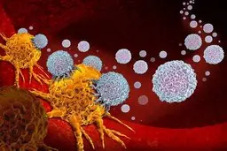 تاثیر ترکیب جدا شده از اسفنج دریایی در مقابله با سلول های سرطانی