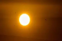 دمای هوای پایتخت برای دومین روز متوالی به ۴۰ درجه رسید | گرم‌ترین روز تهران ثبت شد
