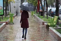بارش پراکنده باران فردا در پایتخت | تهران بارانی میشود 