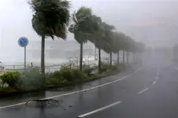 رگبار و باد شدید در مناطق شمال غربی کشور | هشدار هواشناسی برای این مناطق