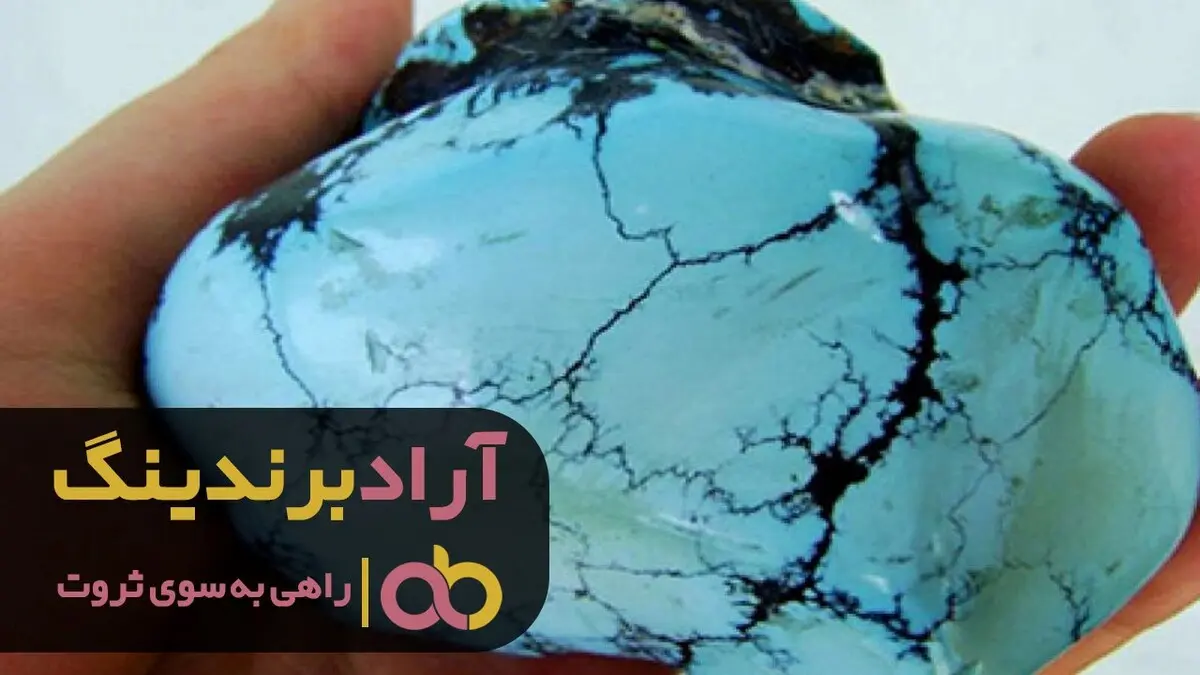 من با سن بالا به ثروت رسیدم 