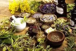  گیاهان دارویی موثر برای آرامش اعصاب
