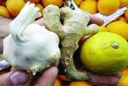 کرونا و بازار داغ داروهای گیاهی
