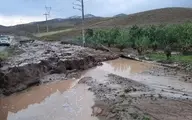 بارندگی‌ها مسافران مازندران را افزایش داد |  خسارت ۵۳۰ میلیارد تومانی کرونا به گردشگری مازندران در ۳ ماه