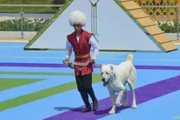 رییس جمهورترکمنستان یک روز تعطیل ملی به سگ آلابای اختصاص داد+عکس