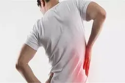 ۱۰ دلیل عمده احساس درد در کلیه‌ها