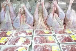 وضعیت بازار گوشت قرمز و مرغ در روزهای پایانی سال | مرغ ۳۶ هزار و گوشت ۱۶۸ هزار تومان