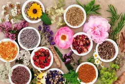 پرکاربردترین گیاهان دارویی را بشناسید | در هر خانه ای این گیاهان لازم است