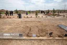 جان‌هایی که می‌رود، آهکی که می‌ماند