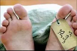 فوت 291 نفر بر اثر گازگرفتگی طی 7 ماه گذشته 