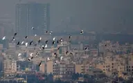 
کیفیت هوا  | افزایش غلظت آلاینده ازن در هوای تهران
