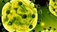 چین هشدار داد: ویروس کرونا در حال قویتر شدن است