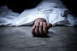 راز قتل همسرکشی پس از ۱۴ سال فاش شد| مادرزن لو داد