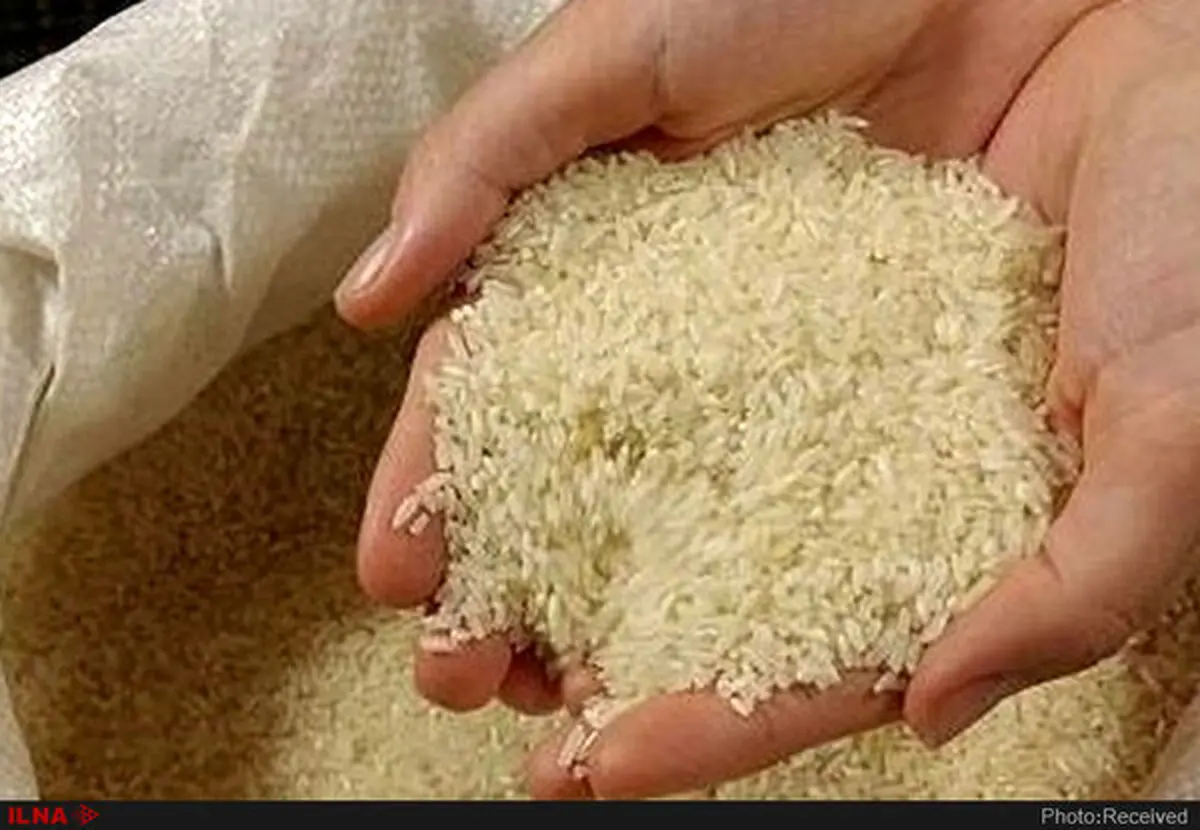 
برنج های خارجی در سال ۹۹، ۱۱۳ درصد گران تر شده