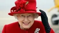 چرا زنبورها از مرگ ملکه الیزابت سیاه پوش شدند | ماجرای عزاداری زنبورها برای ملکه بریتانیا