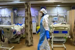 
علوم پزشکی مشهد: فاجعه در راه است؛ شهر را تعطیل کنید
