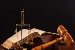 حکم شخصی که رعب و وحشت  ایجاد کرده بود صادر شد