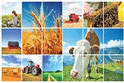 بازار کشاورزی در مرز هشدار | رشد انفجاری قیمت‌ها در بازارهای جهانی نشان می‌دهد