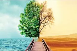 چرا نسبت به مصادیق شر، بی‌تفاوت شده‌ایم؟ | شیوع شر