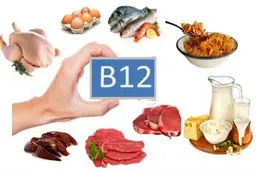 
با نقش مهم ویتامین B۱۲ در بدن آشناشوید
