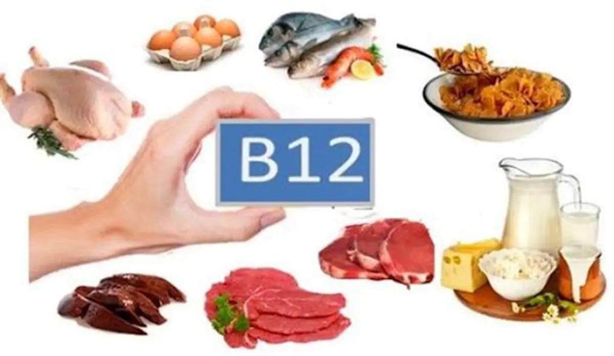 
با نقش مهم ویتامین B۱۲ در بدن آشناشوید
