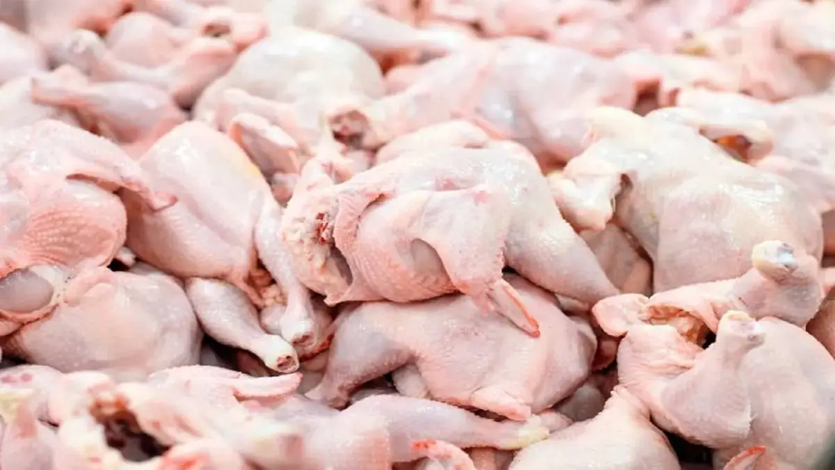 قیمت گوشت مرغ در بازار روز اعلام شد | قیمت مرغ چقدر است؟