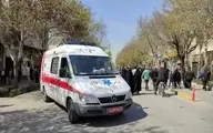 ۱۴۱ نفر طی ایام نوروز در آمبولانس متولد شدند