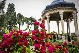 فال حافظ با تفسیر دقیق | خودت فالتو بگیر 