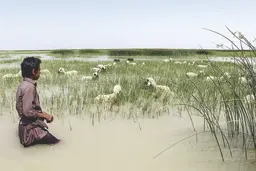 اول تالاب ‌مهم است