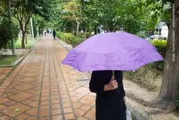 بارش ۵روزه باران و برف و وزش باد در برخی استان‌ها 