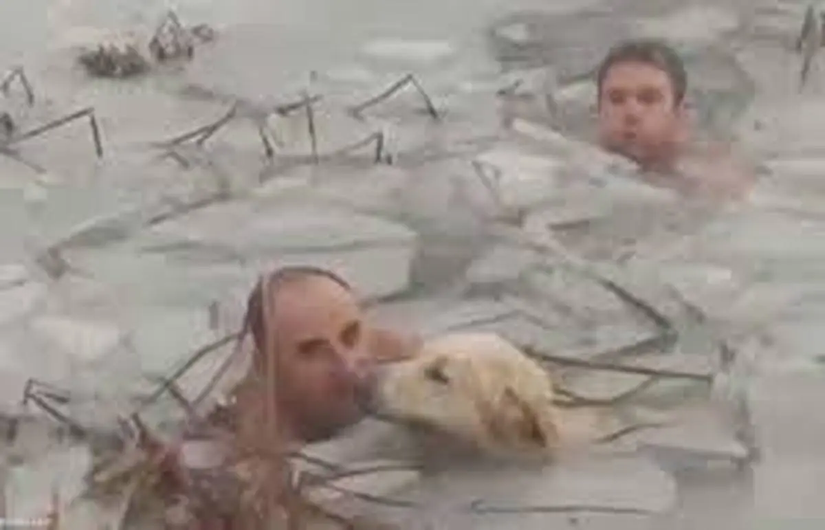 نجات سگ از آب یخ زده توسط پلیس‌ اسپانیا 