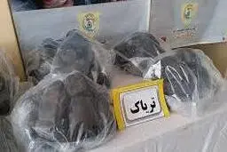 جزییات کشف عجیب و غریب در متروی تهران