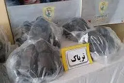 جزییات کشف عجیب و غریب در متروی تهران