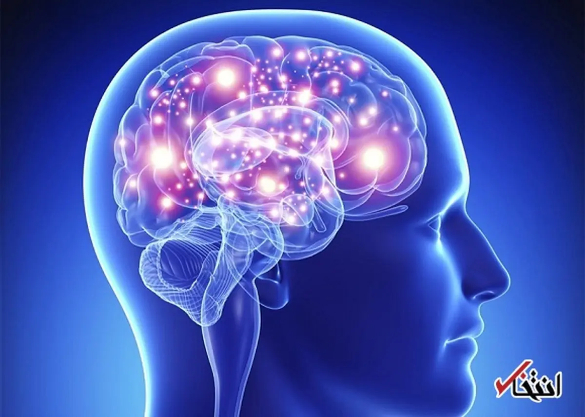 
 آیا دوزبانه بودن می‌تواند روی عملکرد مغز تاثیر بگذارد؟
