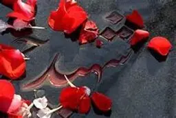 آرزو مزار برای فرزند 

