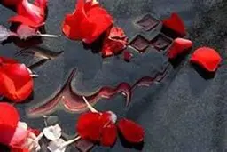 آرزو مزار برای فرزند 
