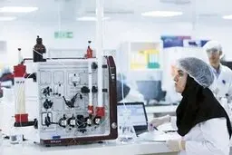 معرفی خدمات حقوقی ارائه‌شده به شرکت‌های دانش‌بنیان