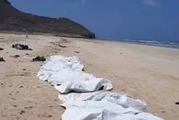 چند نفر در واژگونی قایق مهاجران سواحل جیبوتی کشته شدند؟| واژگونی قایق مهاجران در سواحل جیبوتی

