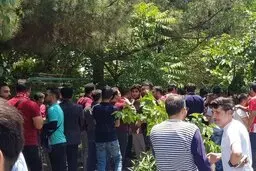 قصه تکراری؛تجمع پرسپولیسی‌ها مقابل وزارت‌ورزش