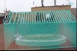 طالبان از مقبره بنیانگذارش رونمایی کرد! | این مقبره بنیانگذار طالبان است!