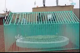 طالبان از مقبره بنیانگذارش رونمایی کرد! | این مقبره بنیانگذار طالبان است!