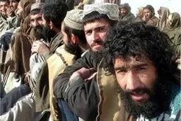 
 بیش از ۲۰۰ هزار از اتباع بیگانه را در شیراز داریم

