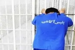  خفاش‌های غرب پایتخت بازداشت  شدند